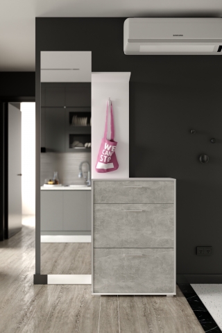 Прихожая Скиф Гербор