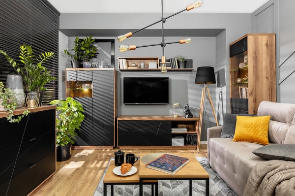 Гостиная Forn BRW