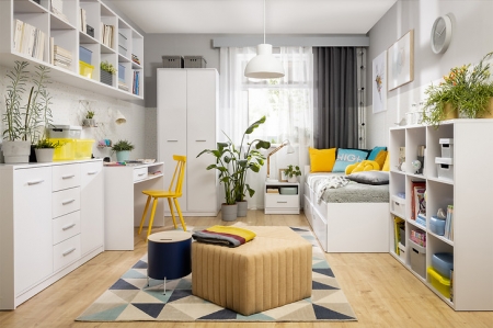 Шкаф Nepo Plus SZF2D BRW Польша