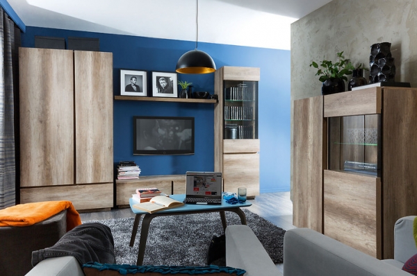 Шкаф Anticca SZF2D1S BRW Польша