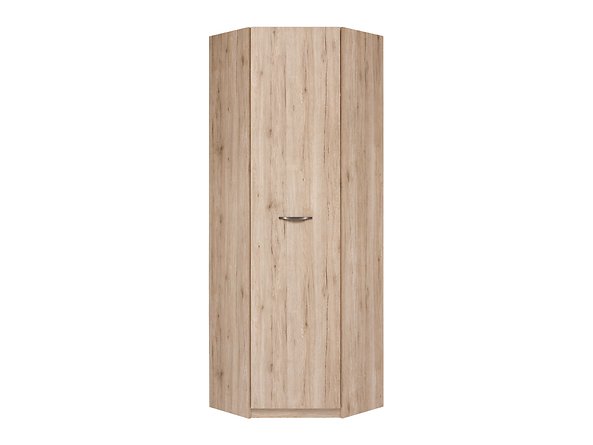 Шкаф угловой Executive SZFN1D BRW Польша