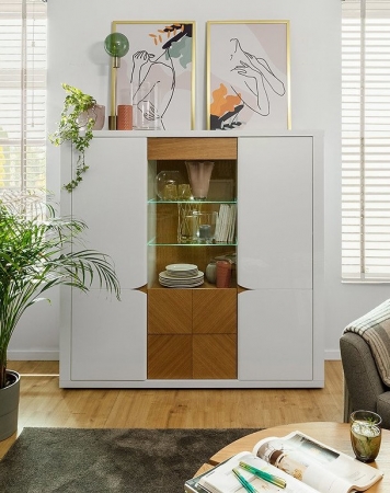 Витрина Rovika REG2D1W1S BRW Польша