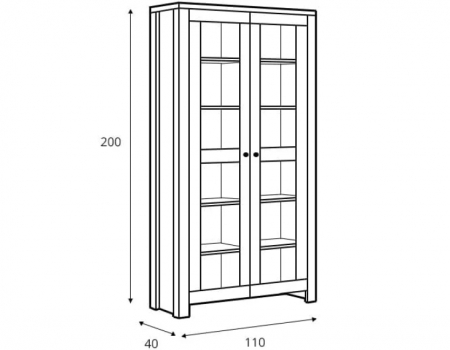 Витрина Amsterdam REG2W/20/11 BRW Польша
