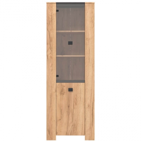 Витрина Шелби REG1W1D Гербор