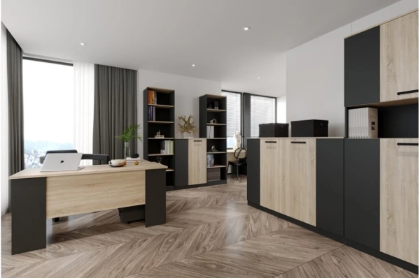 Кабинет Офис Нью Гербор