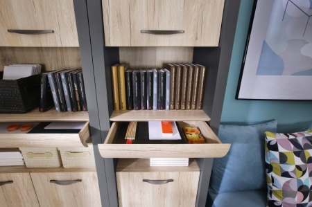 Стеллаж Executive REG2D1S/22/6 BRW Польша