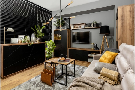 Гостиная Forn BRW