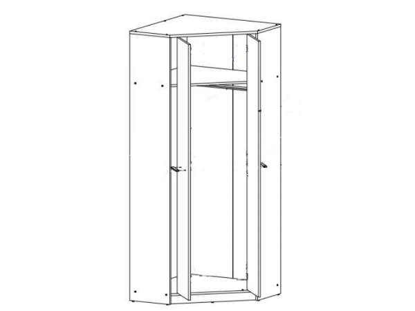 Шкаф угловой Nepo Plus SZFN2D BRW Польша