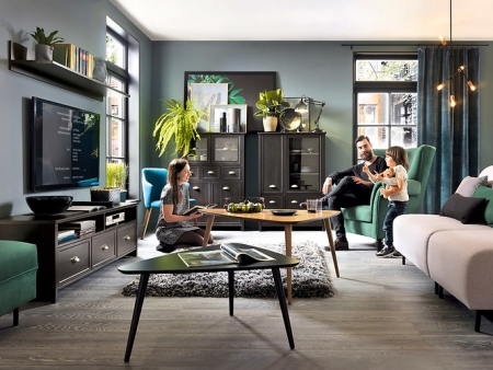 картинка Гостиная Cannet BRW Польша